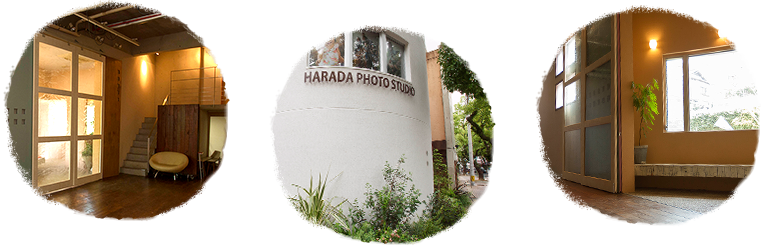 会社概要・アクセス方法