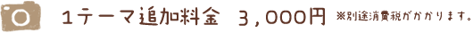 1テーマ追加料金  3,000円 ※別途消費税がかかります。