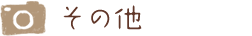 その他