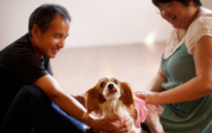 犬と一緒に夫婦写真