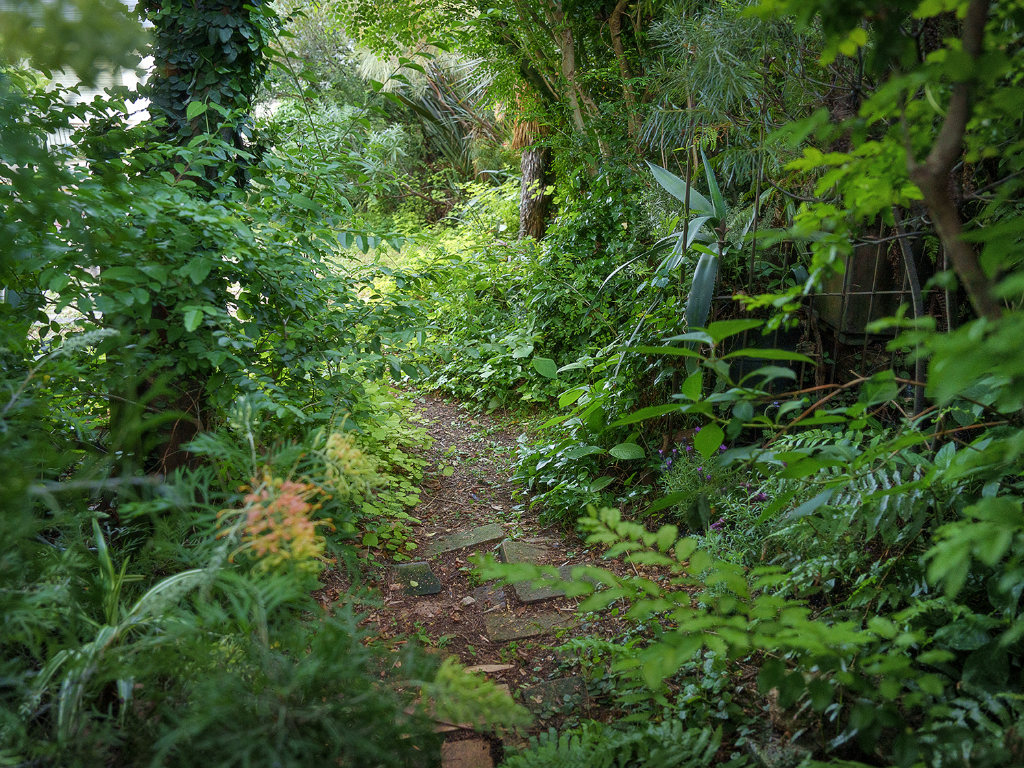 福岡市原田写真館since1969香椎参道