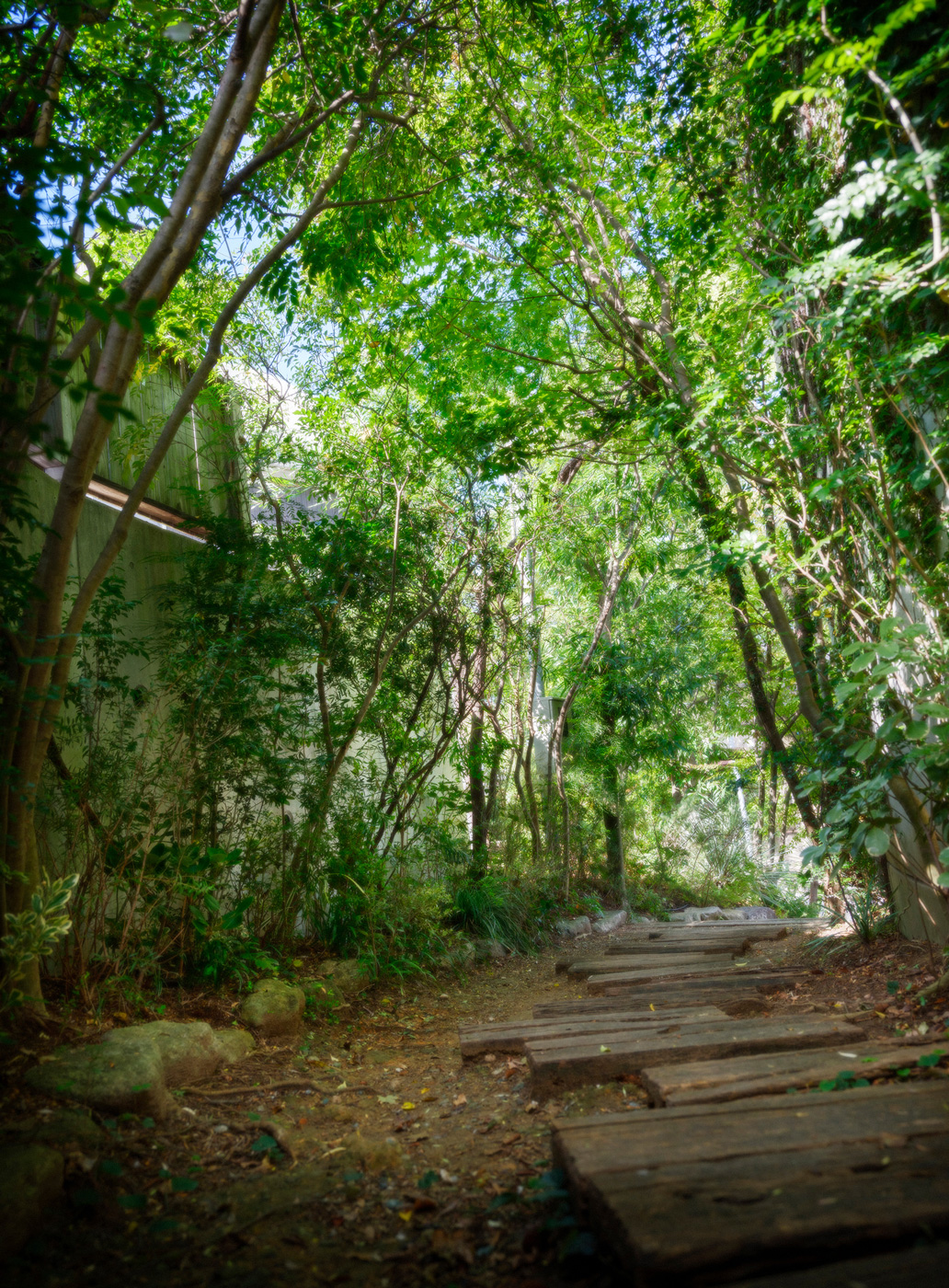 福岡市原田写真館since1969香椎参道