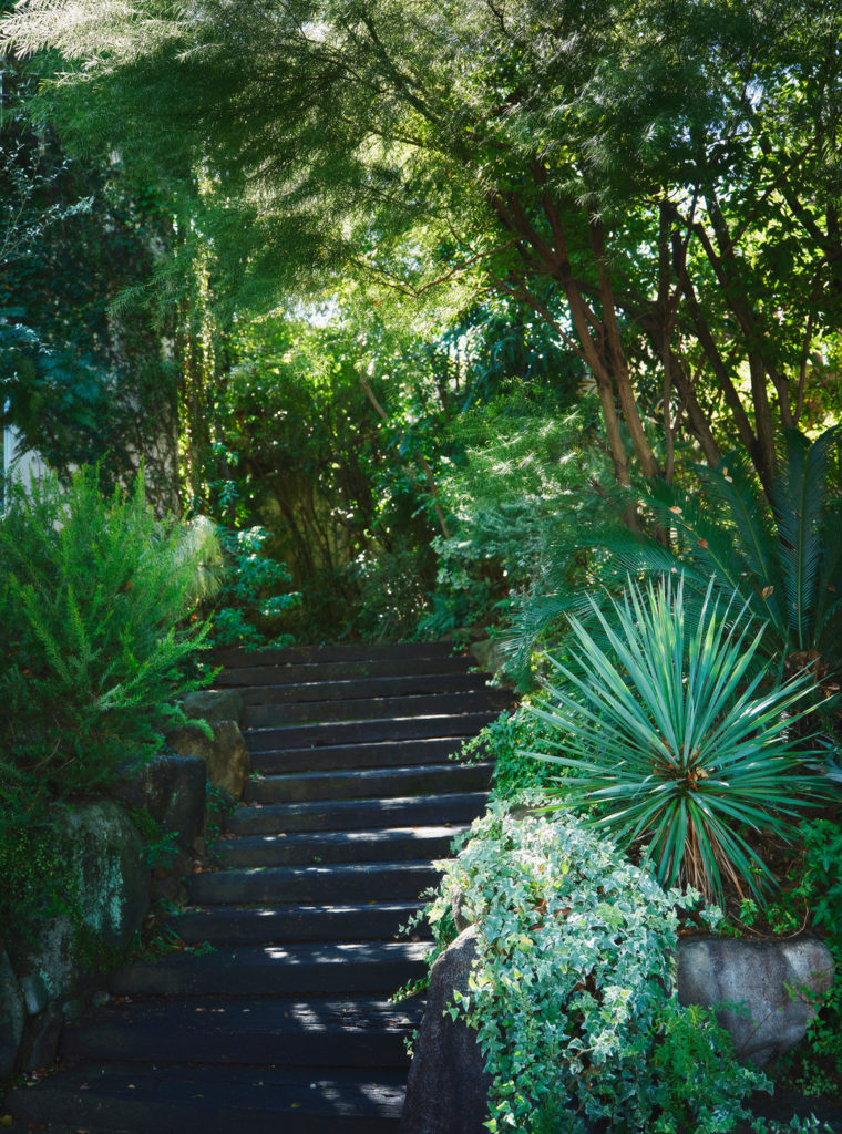 枕木階段と植物