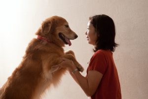 犬と向き合う女性