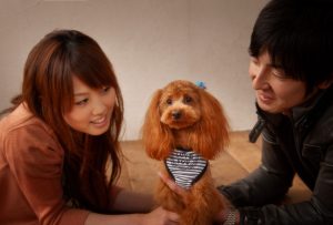 犬と夫婦記念写真