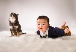 犬とハーフバースデー
