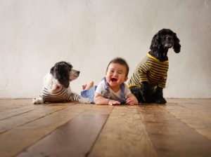 犬２匹と赤ちゃん